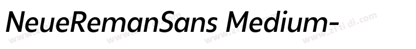 NeueRemanSans Medium字体转换